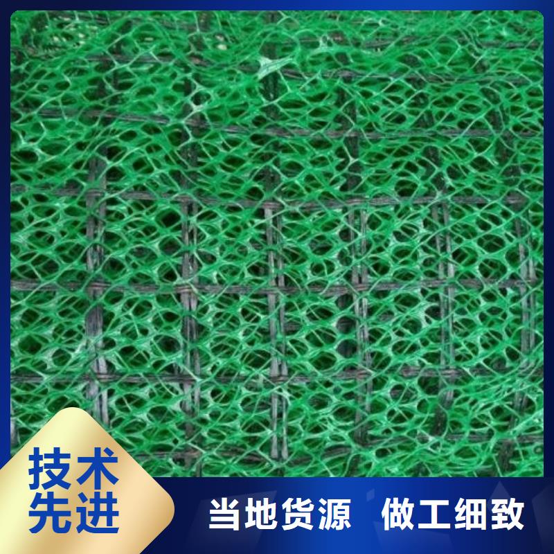 三维植被网,【排水板】厂家规格全-朋联工程材料(阿里市分公司)