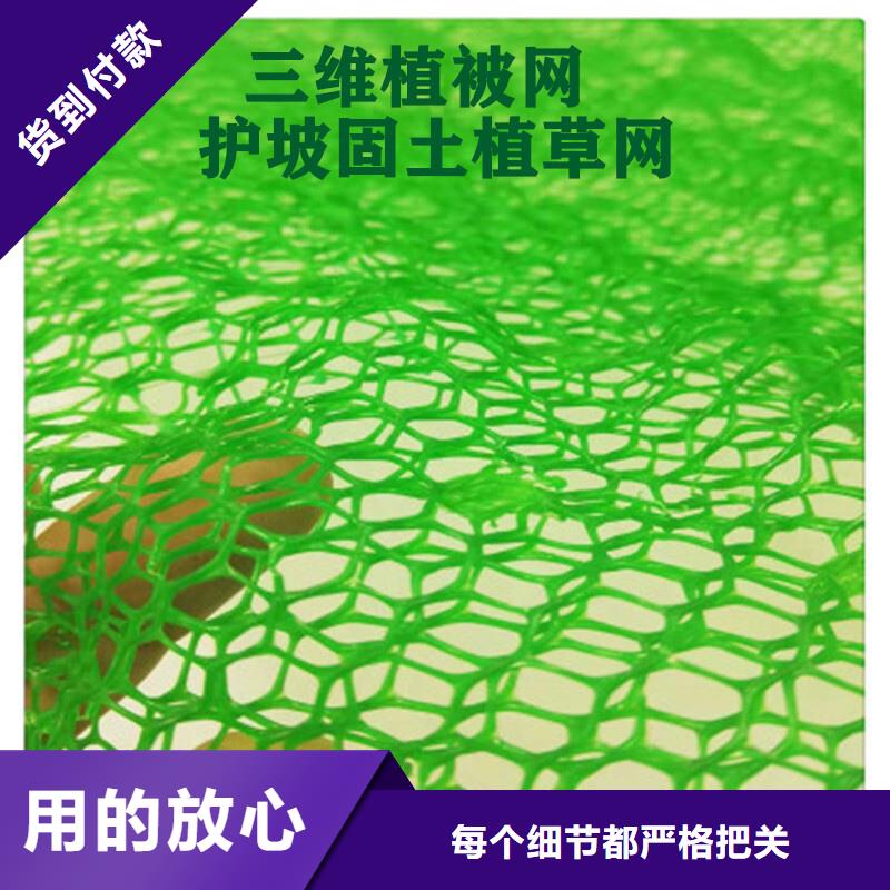 三维植被网,【排水板】厂家规格全-朋联工程材料(阿里市分公司)