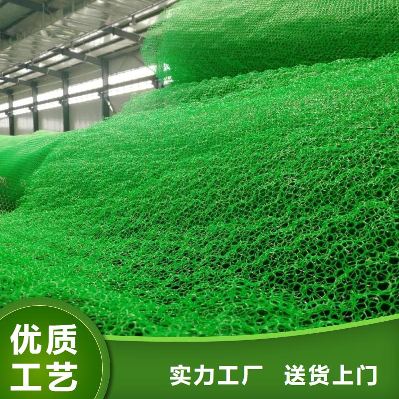 三维植被网水泥化粪池质量可靠