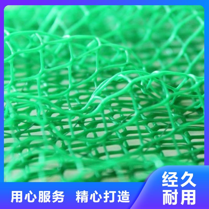 三维植被网水泥化粪池质量可靠