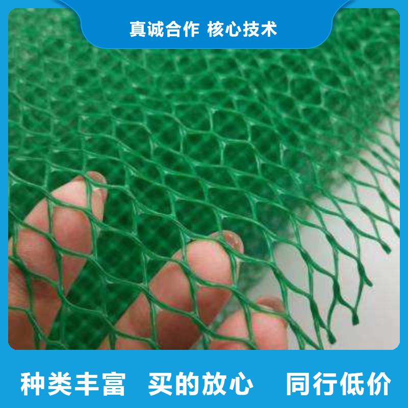 三维植被网水泥化粪池质量可靠