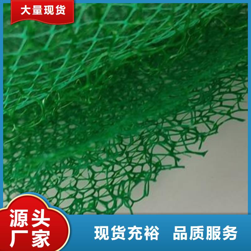 三维植被网,植草格厂家定制