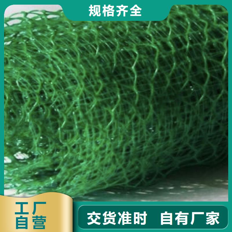 三维植被网水泥化粪池质量可靠