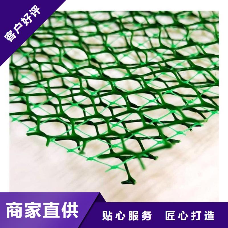 三维植被网水泥化粪池质量可靠