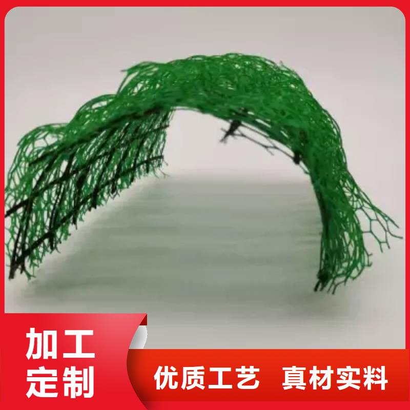 三维植被网,【排水板】厂家规格全-朋联工程材料(阿里市分公司)