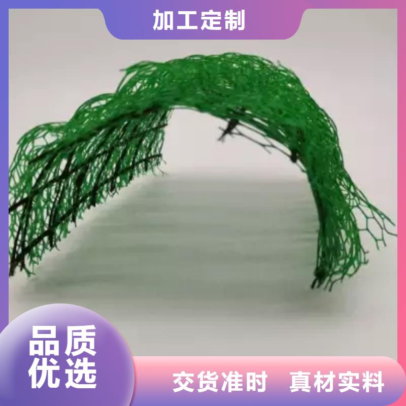 三维植被网水泥化粪池质量可靠