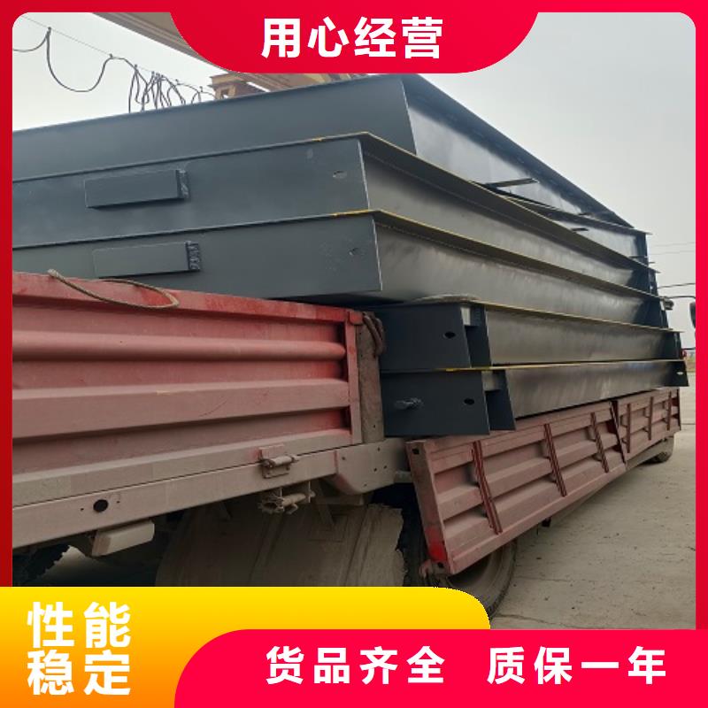 电子地磅-电子衡器工艺精细质保长久