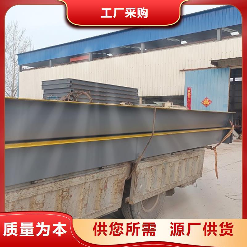 电子地磅 无线打印式电子吊秤工厂批发
