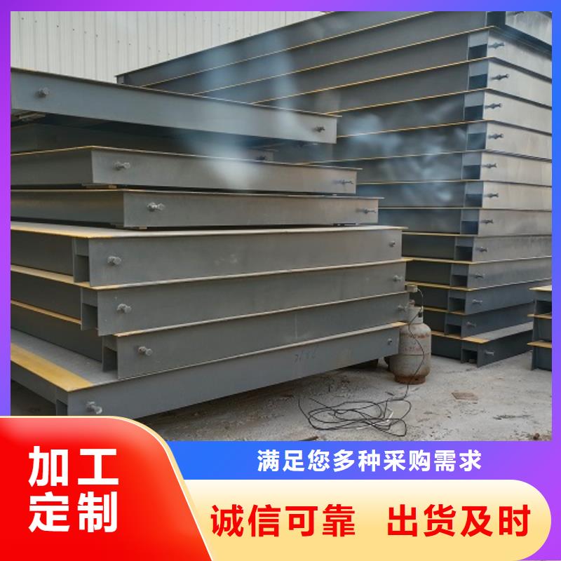 电子地磅-电子衡器工艺精细质保长久