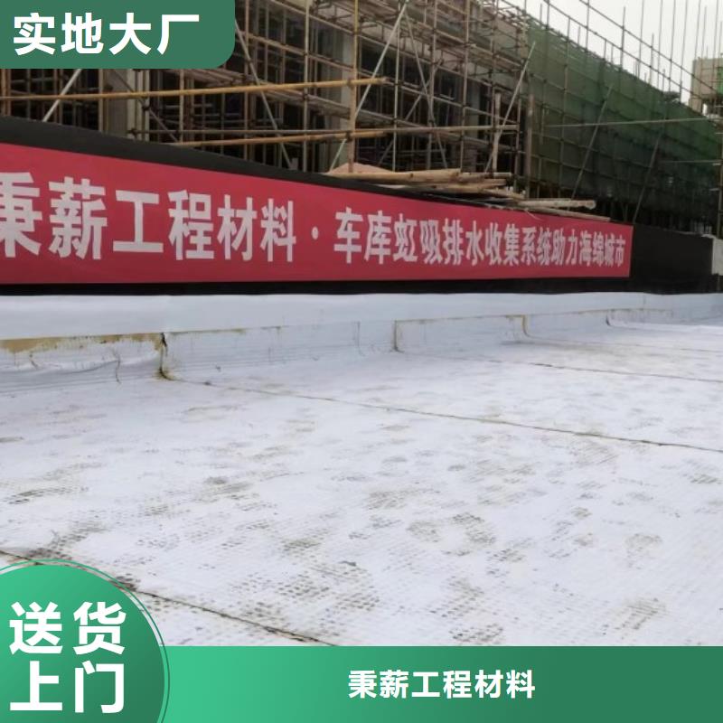 排水板植草格真实拍摄品质可靠