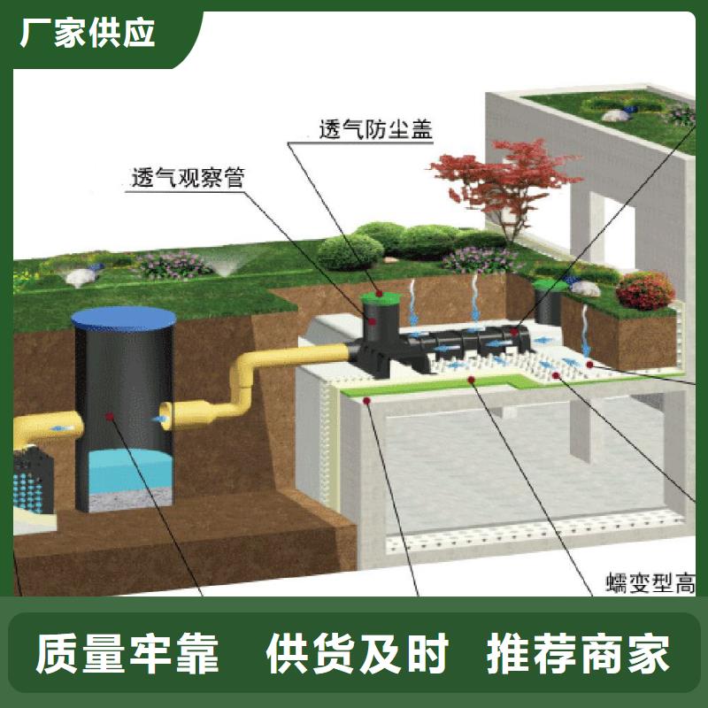 排水板植草格厂家直发