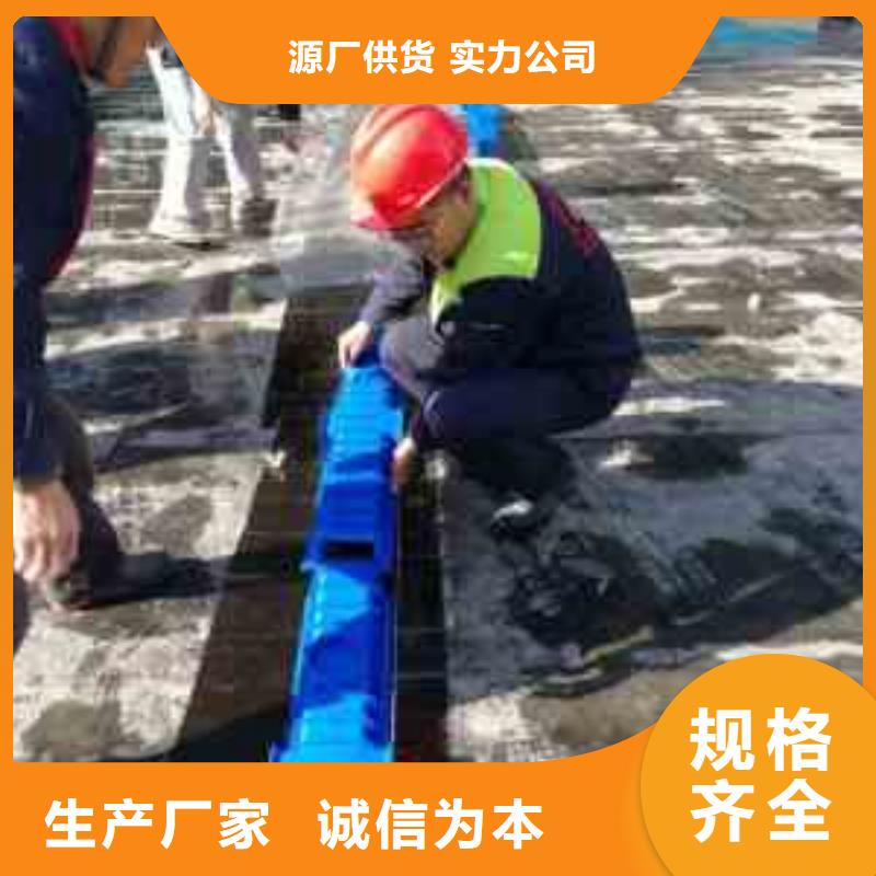 |余杭|淳安|丽水|宁波|湖州|衢州秉薪排水板【植草格】品质之选