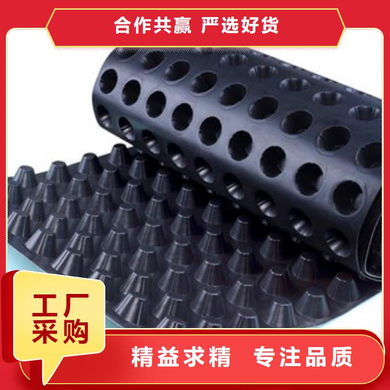 排水板滤水板好厂家有担当