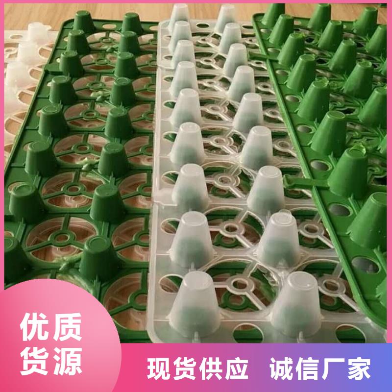 排水板【植草格】优选原材