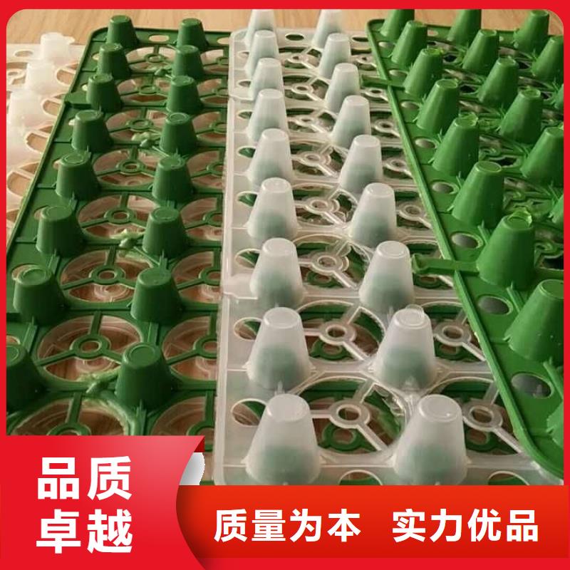 排水板土工格栅厂家货源稳定