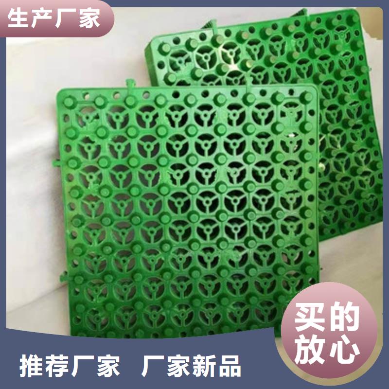 排水板塑料盲沟管匠心品质