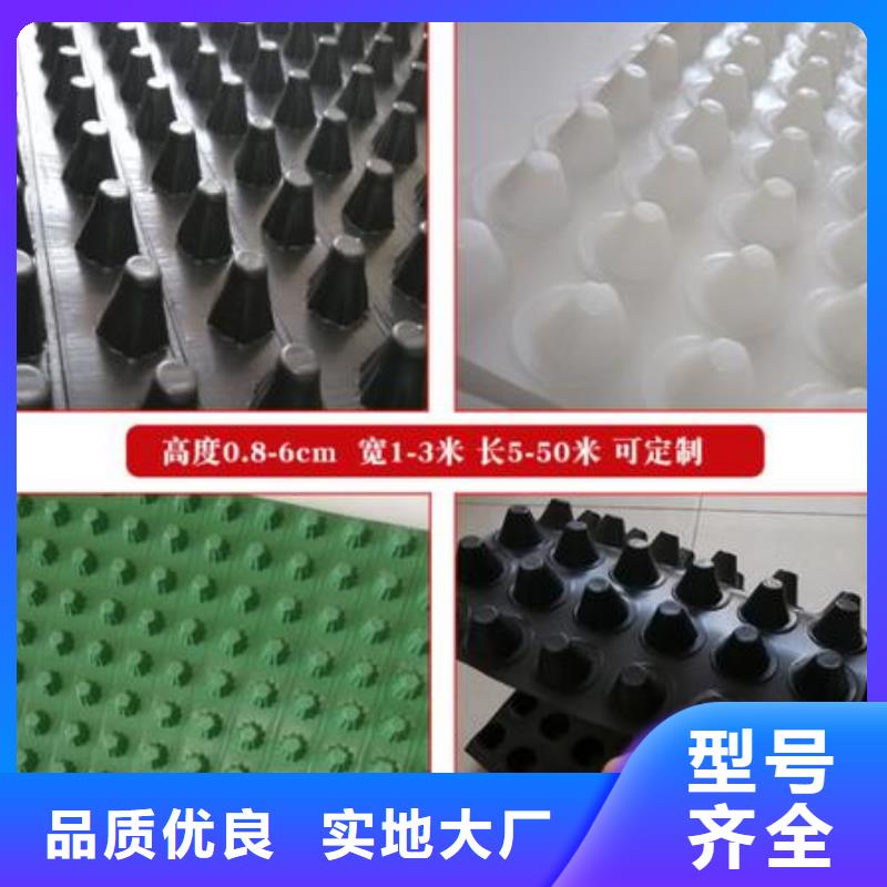 排水板土工膜实力才是硬道理