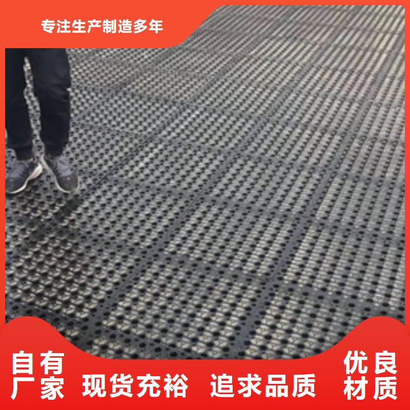 排水板土工格栅品质商家