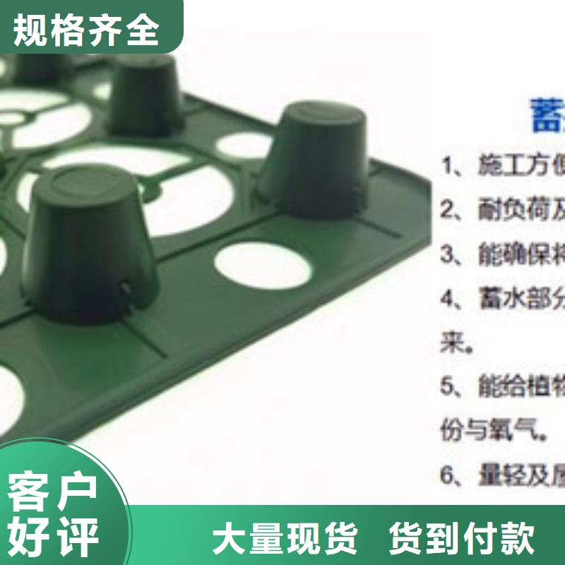 排水板,蓄水板品质保证