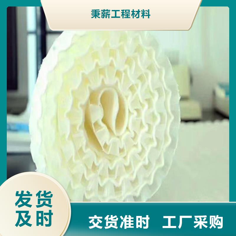 |余杭|淳安|丽水|宁波|湖州|衢州秉薪排水板【植草格】品质之选