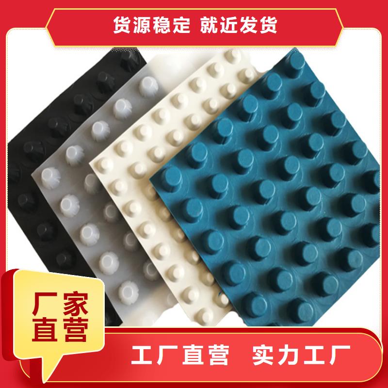 |余杭|淳安|丽水|宁波|湖州|衢州秉薪排水板【植草格】品质之选