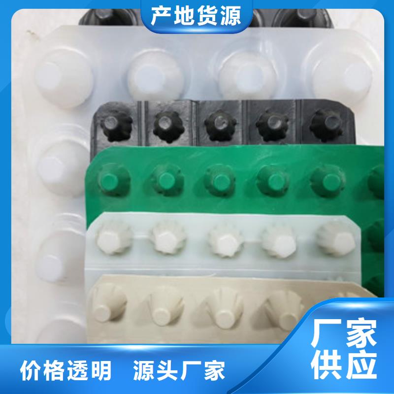 排水板土工膜实力才是硬道理