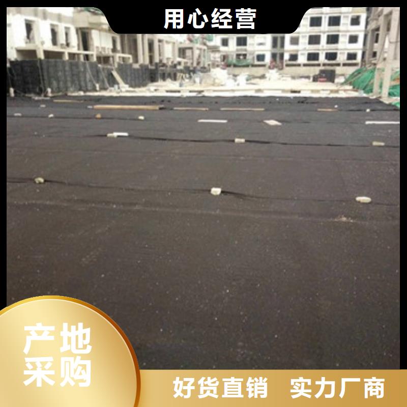 排水板,滤水板高品质现货销售