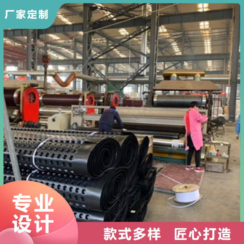 排水板_土工格栅实力优品