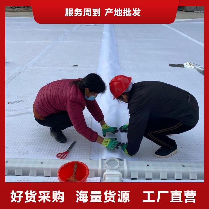 排水板土工格栅厂家货源稳定