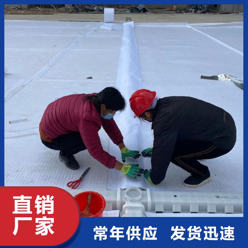 排水板,滤水板高品质现货销售