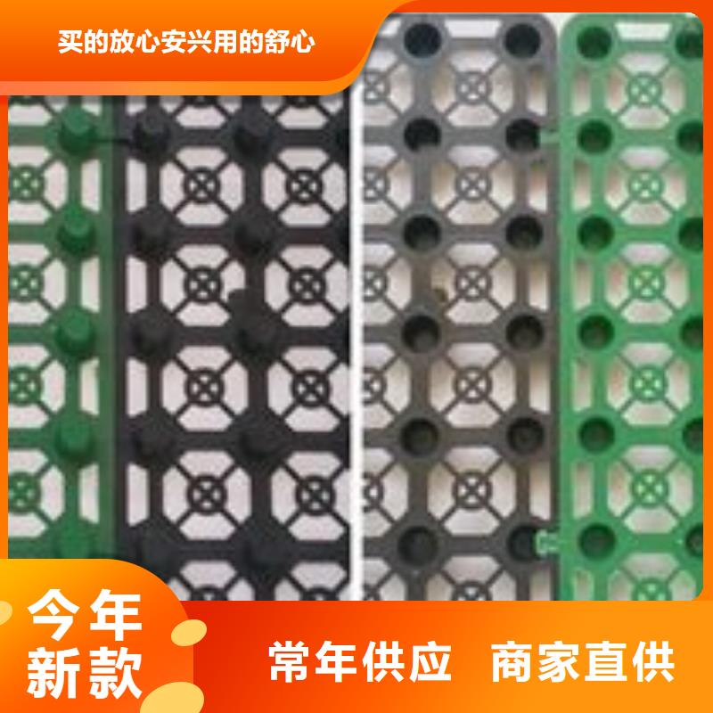  排水板专业信赖厂家