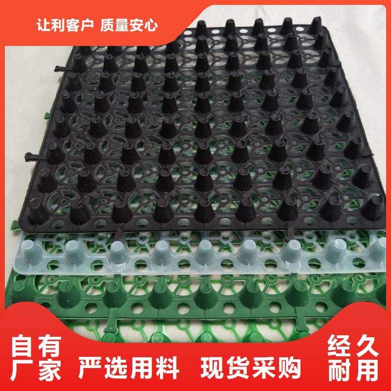 排水板-土工膜现货销售