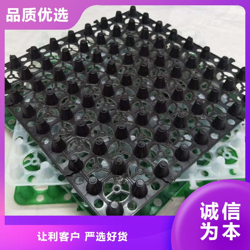 蓄水板视频-游仙|安县|攀枝花|宜宾|乐山|阿坝|自贡|广元|德阳蓄水板严选好货-秉薪工程材料(绵阳市分公司)