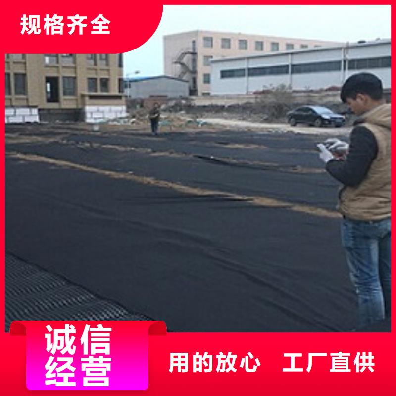 【排水板】-蓄水板为您提供一站式采购服务