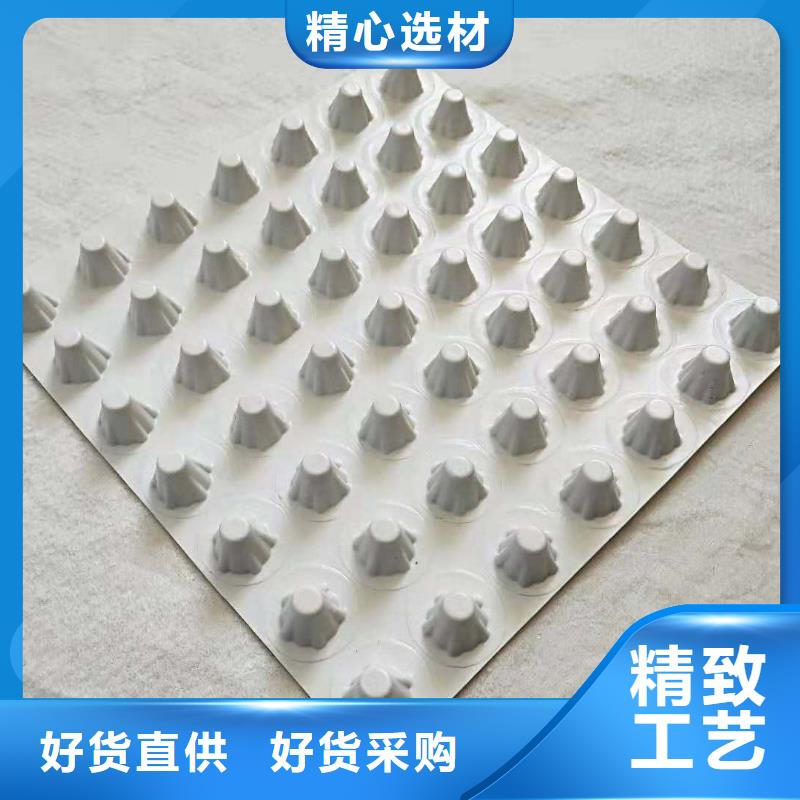  排水板工厂直营