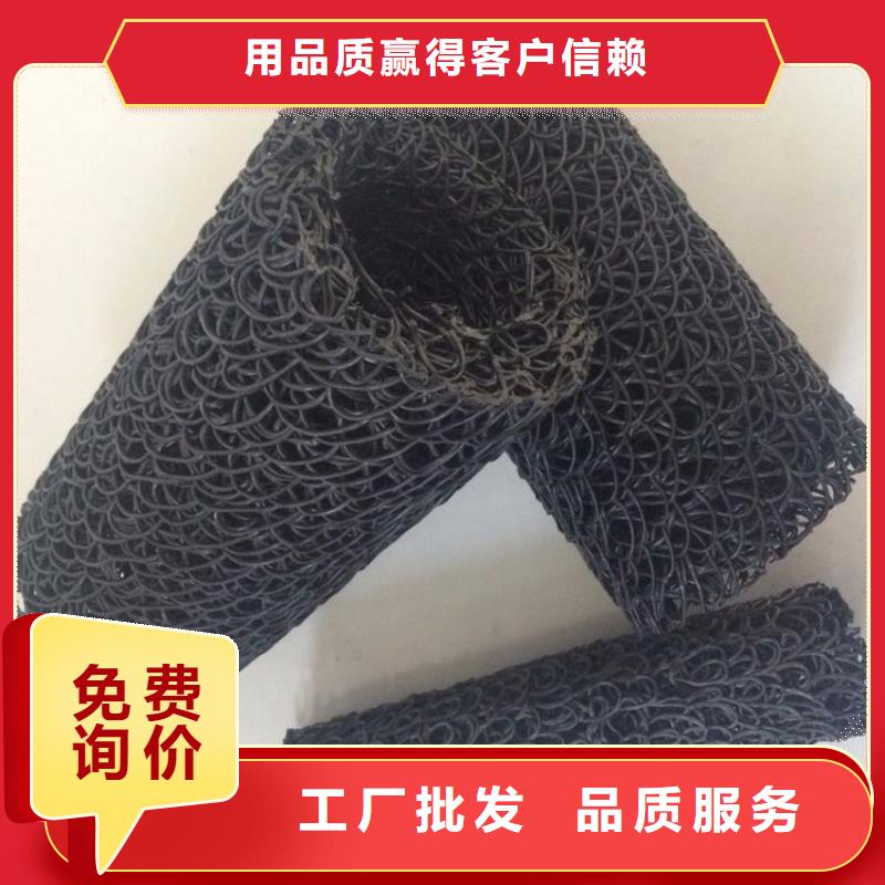 塑料盲沟-疏水板高质量高信誉