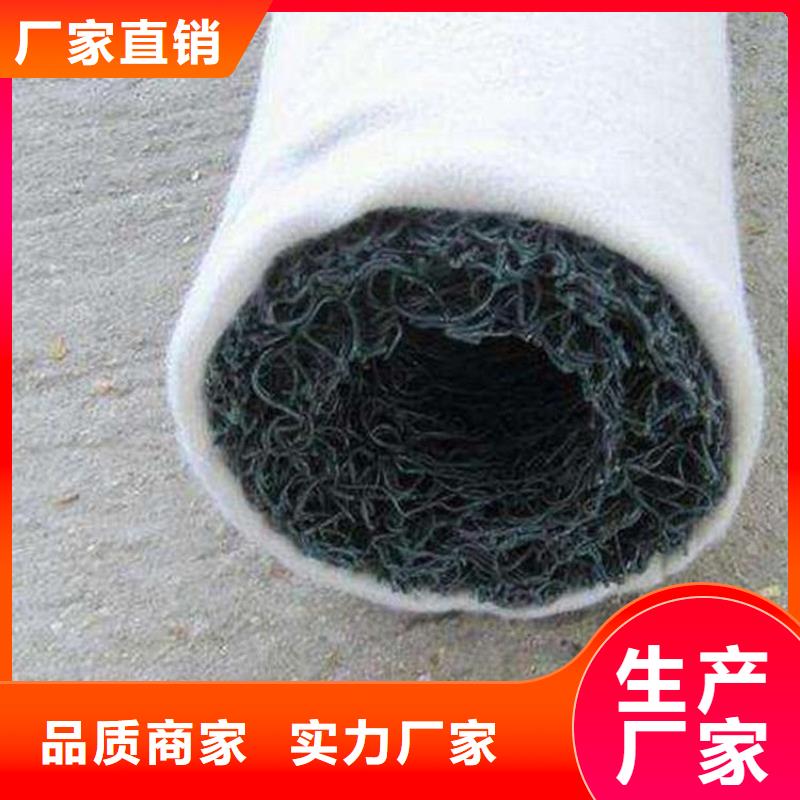 塑料盲沟,【排水板】通过检测
