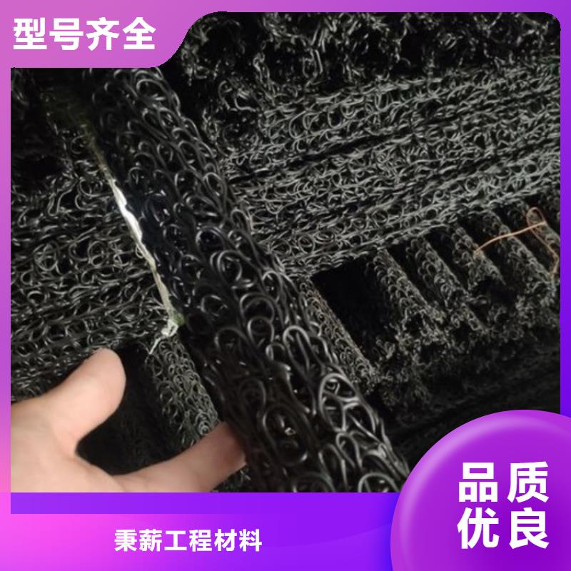 塑料盲沟-疏水板高质量高信誉