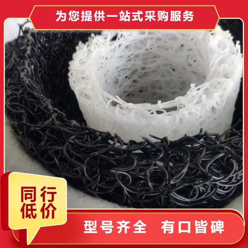 塑料盲沟疏水板高品质现货销售