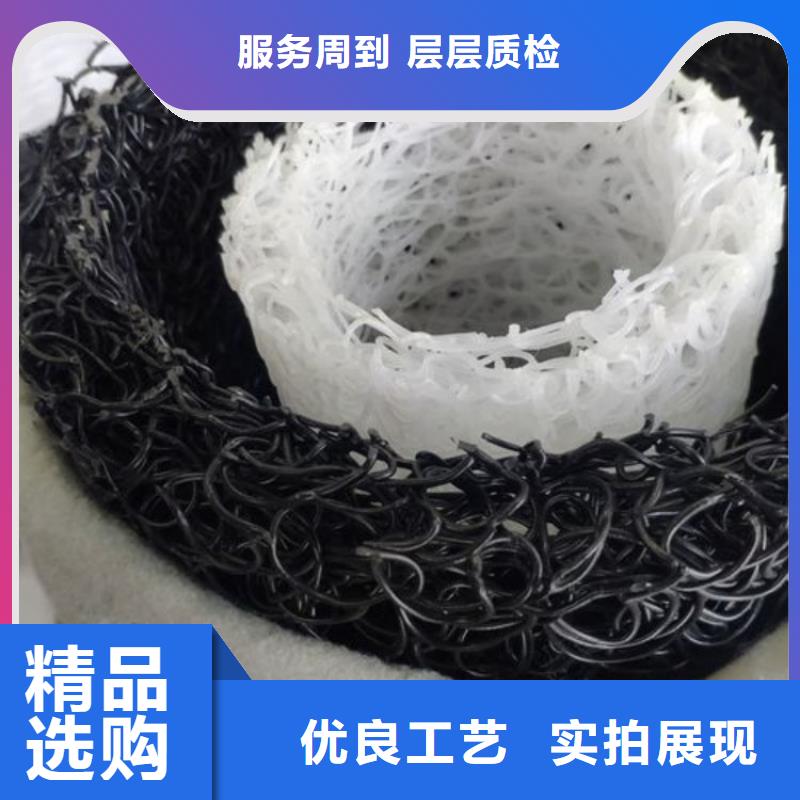 塑料盲沟滤水板主推产品