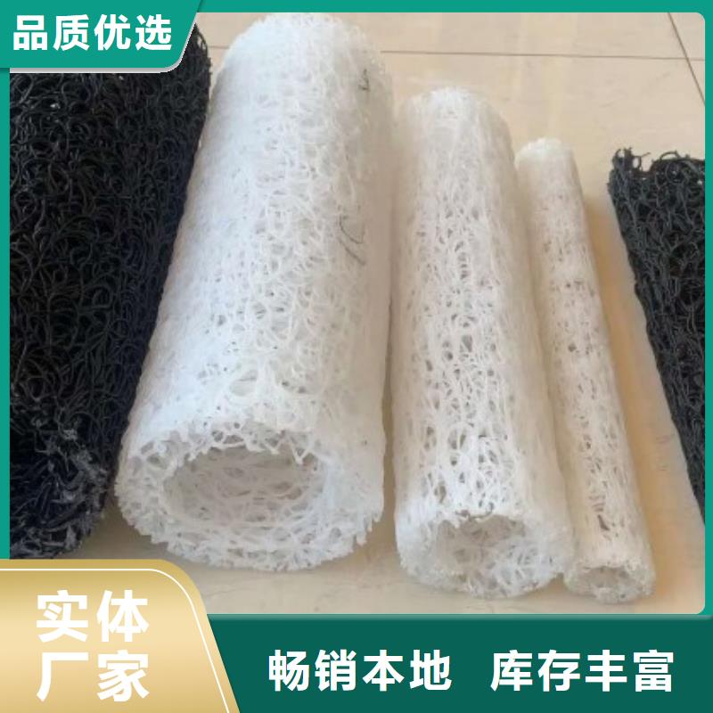 【塑料盲沟疏水板精心】