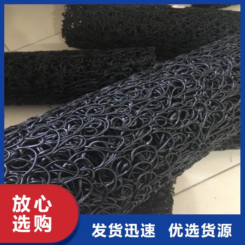 塑料盲沟-疏水板高质量高信誉