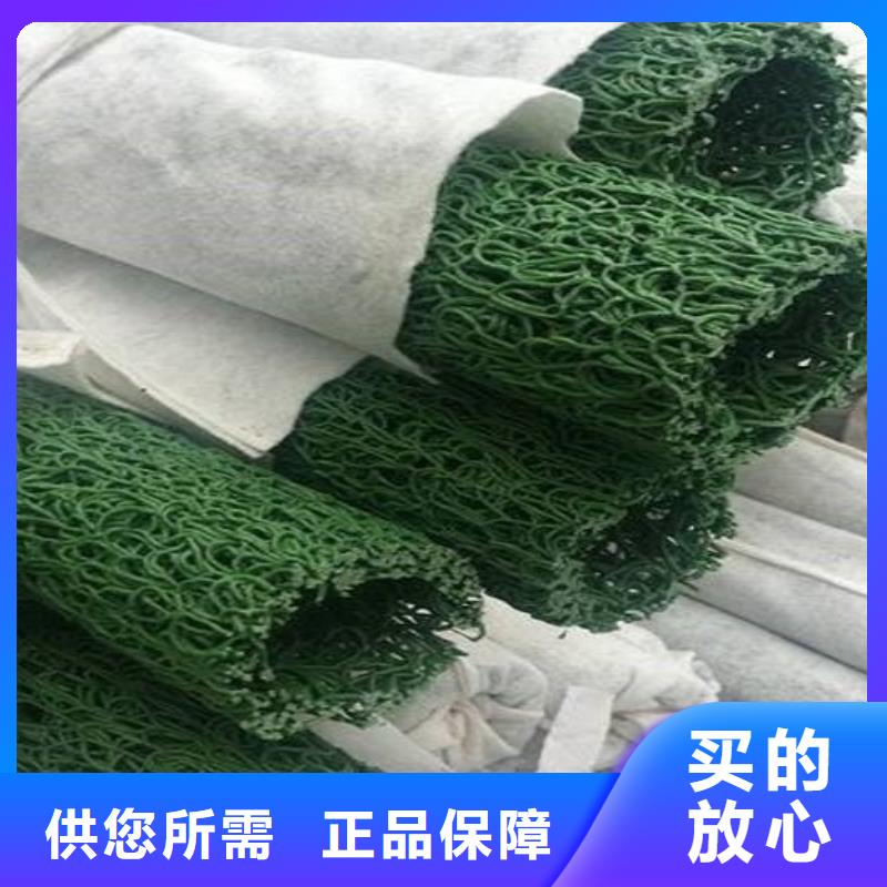 塑料盲沟-疏水板高质量高信誉