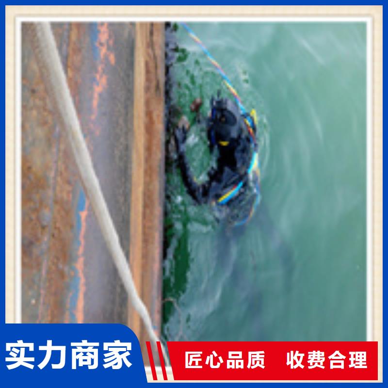 水下施工水域检查实力商家