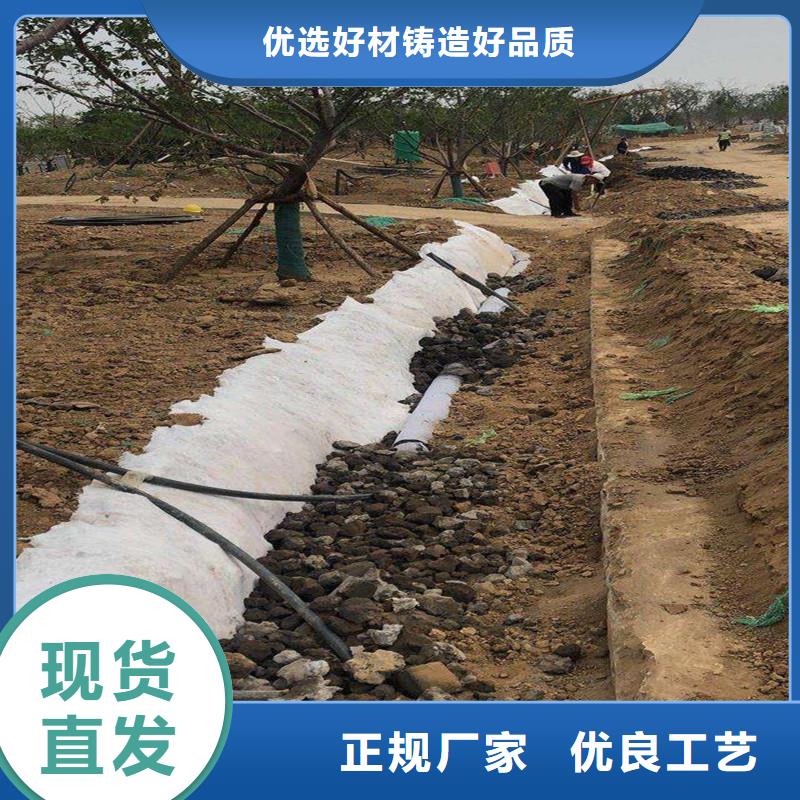 单臂打孔波纹管与双壁打孔波纹管供应商报价