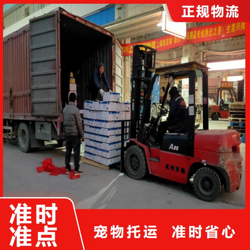 上海物流公司运输专线视频-山东省东营市|垦利|利津|潍坊|枣庄|聊城|青岛|威海上海物流公司运输专线-海贝
