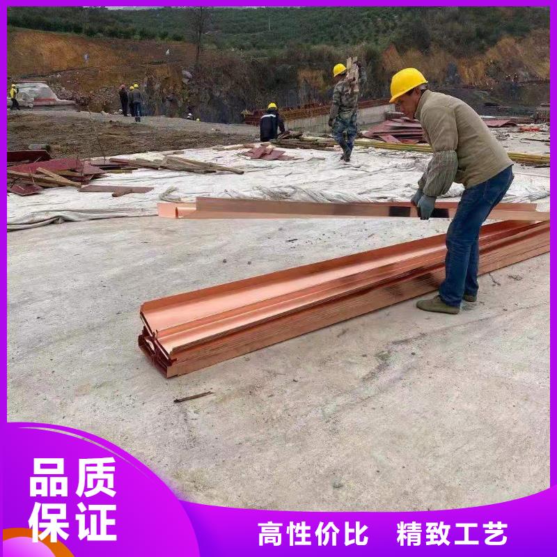 W型止水铜片欢迎电询