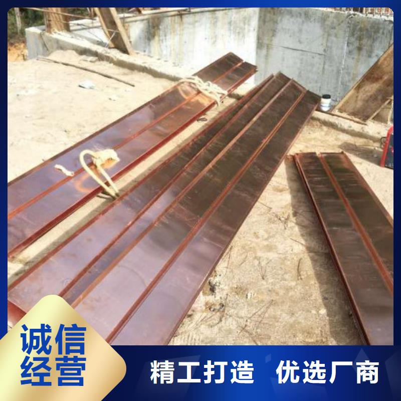 止水铜片厂家
