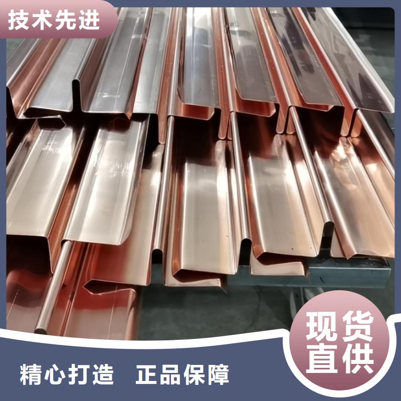 W型止水铜片欢迎电询
