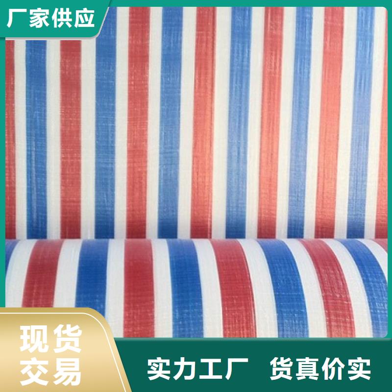 彩条布绿化防寒布价格专业生产团队